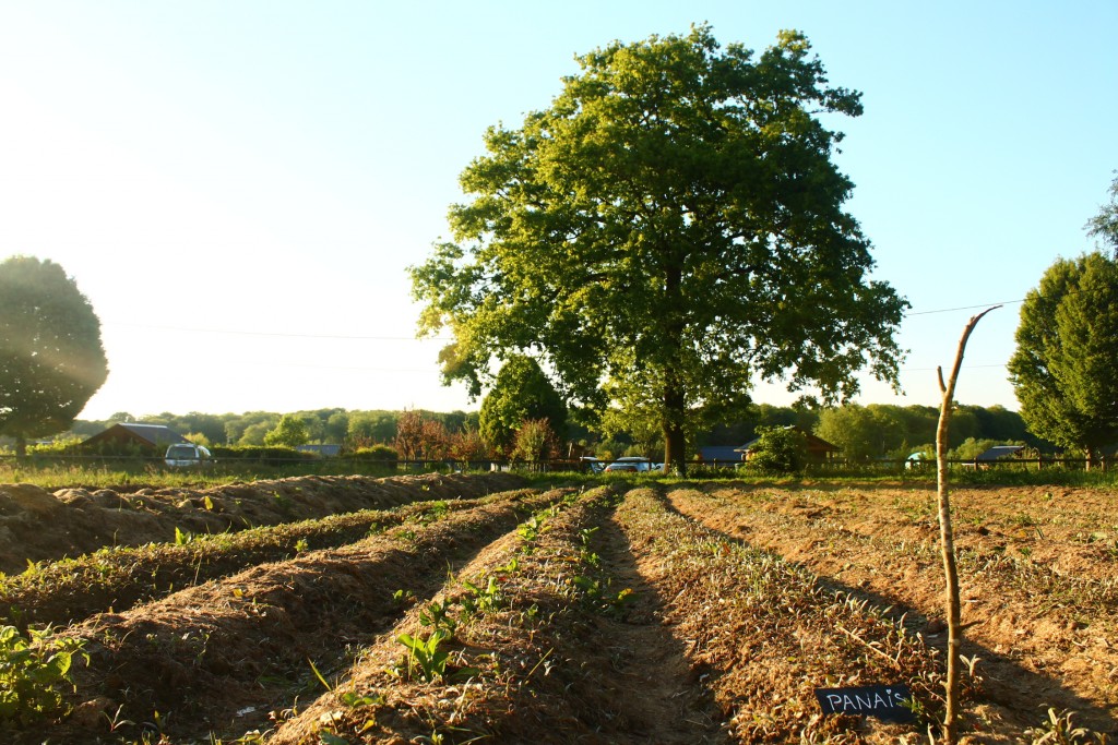 champ-ferme-des-bouillons-zad