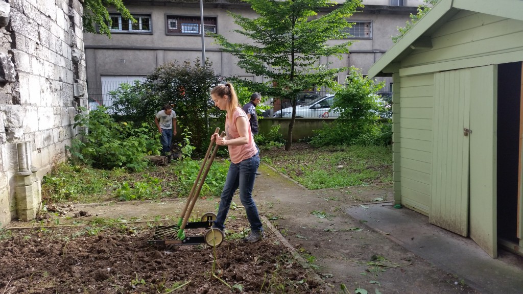 bouillons-square-guillaume-lion