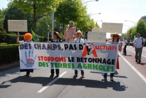 Des-champs-pas-dAuchan