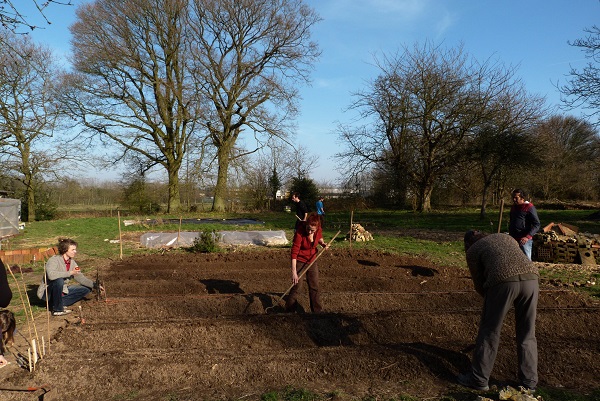 Maraîchage par les militants de la ferme des Bouillons
