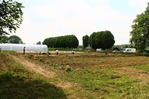 1405 Journée paysanne champ 04 Ferme des Bouillons