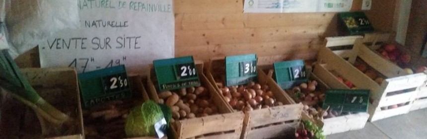 Légumes sur le marché des Bouillons à Repainville