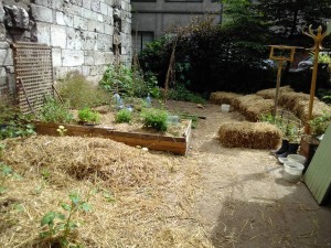 18813616_1405684839498515_2039914918015862325_n